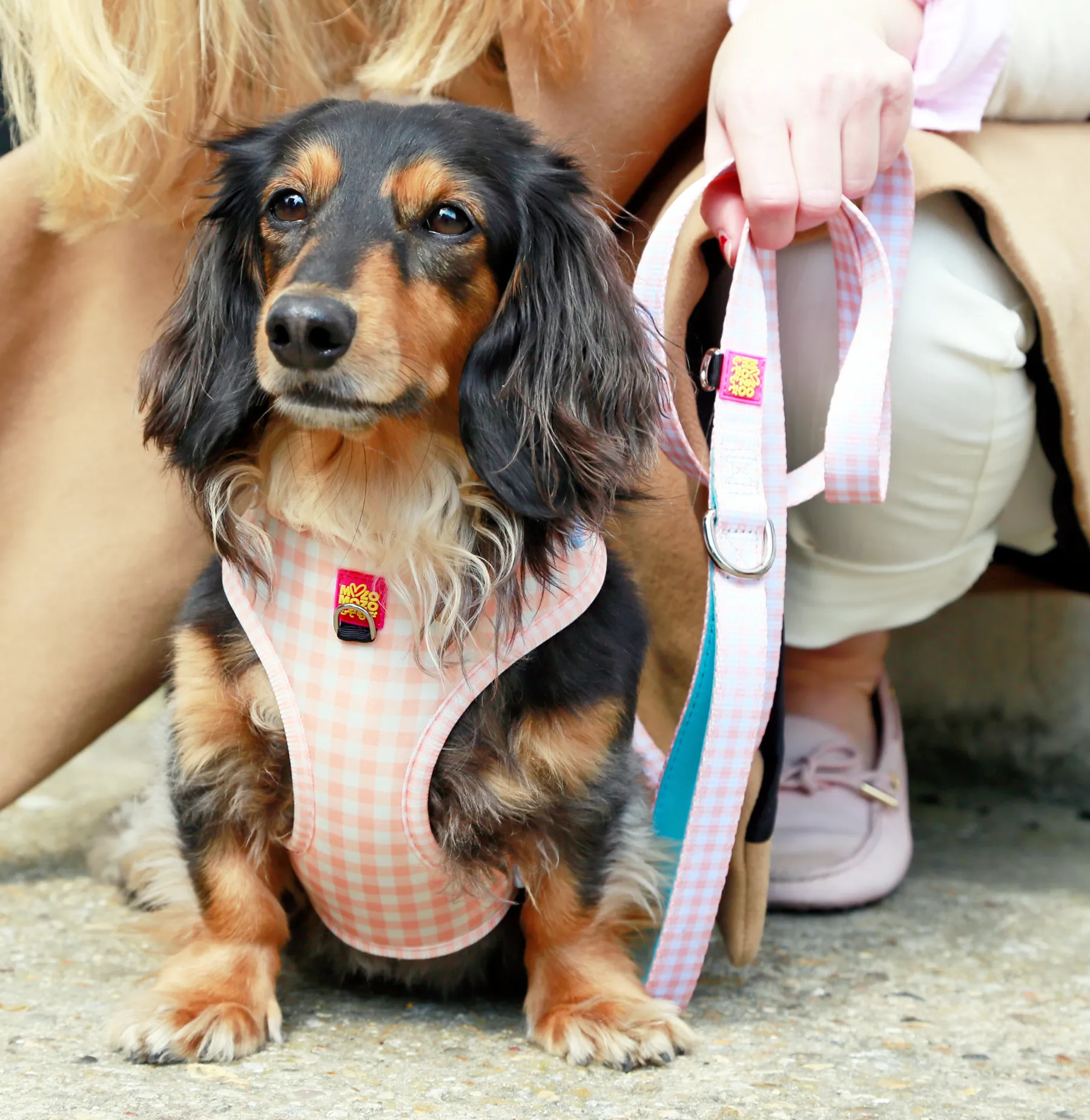 Honey gingham lead