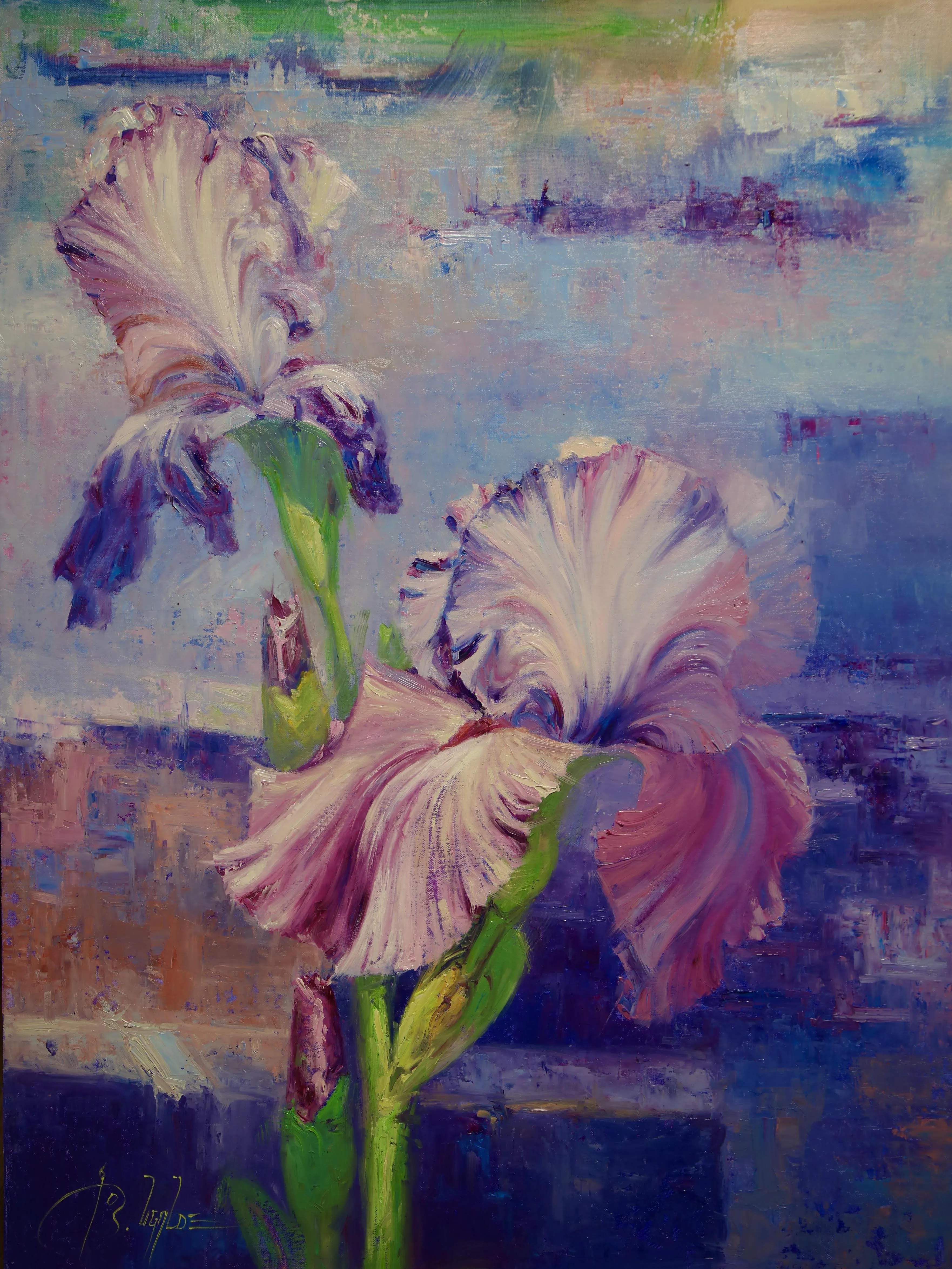 Iris