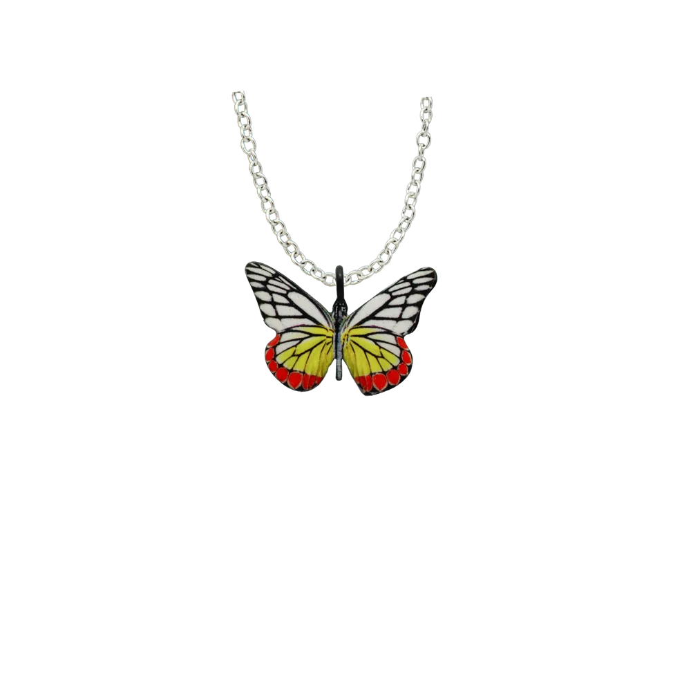 Jezebel Butterfly