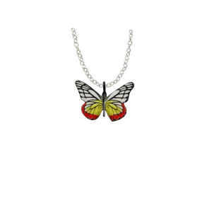 Jezebel Butterfly