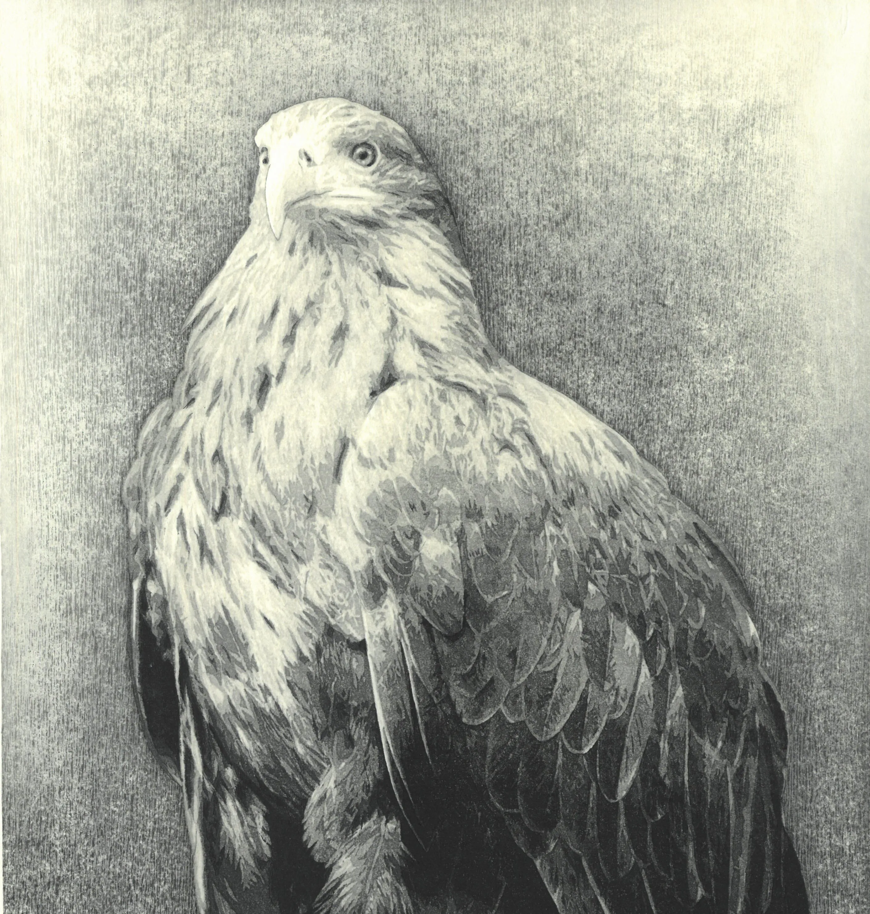 Kitamura  Shoichi - # KS3  Washi  (Eagle)  First Edition 2022 - Free Shipping