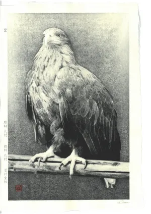 Kitamura  Shoichi - # KS3  Washi  (Eagle)  First Edition 2022 - Free Shipping