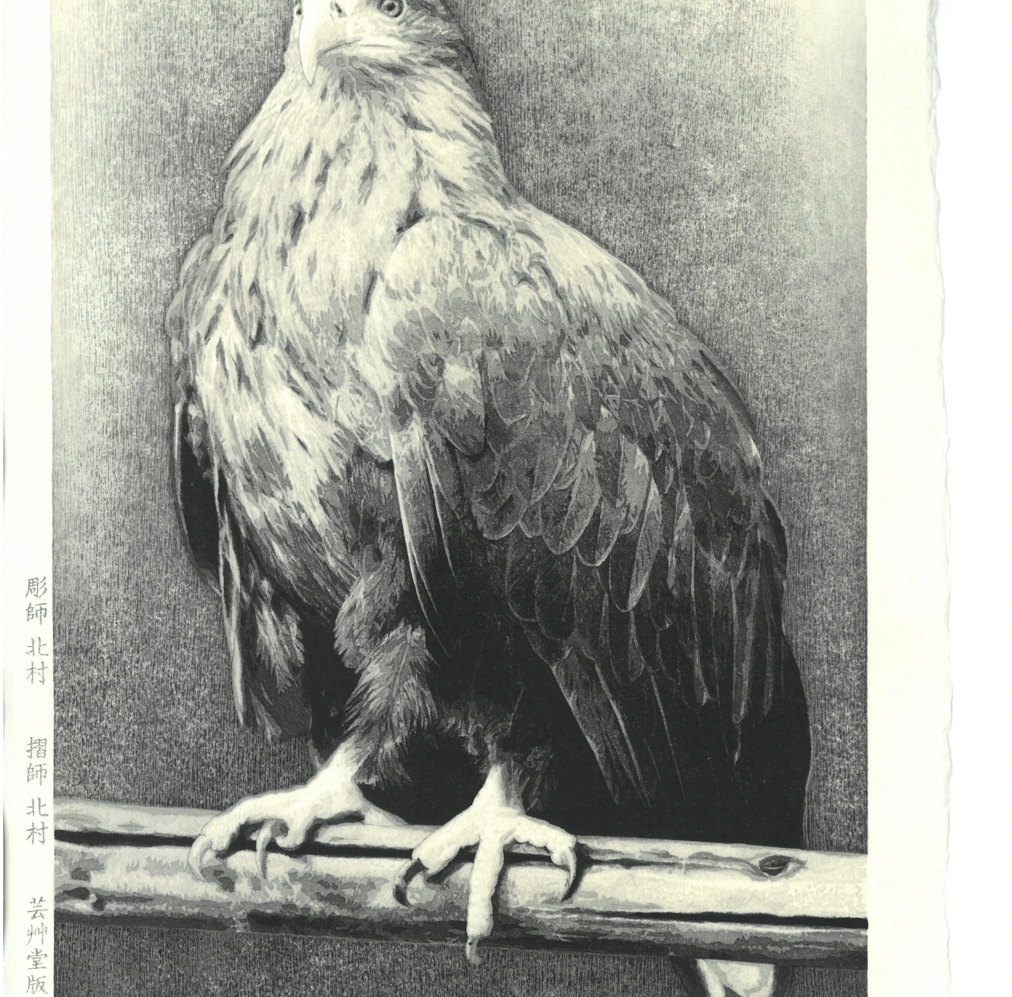 Kitamura  Shoichi - # KS3  Washi  (Eagle)  First Edition 2022 - Free Shipping
