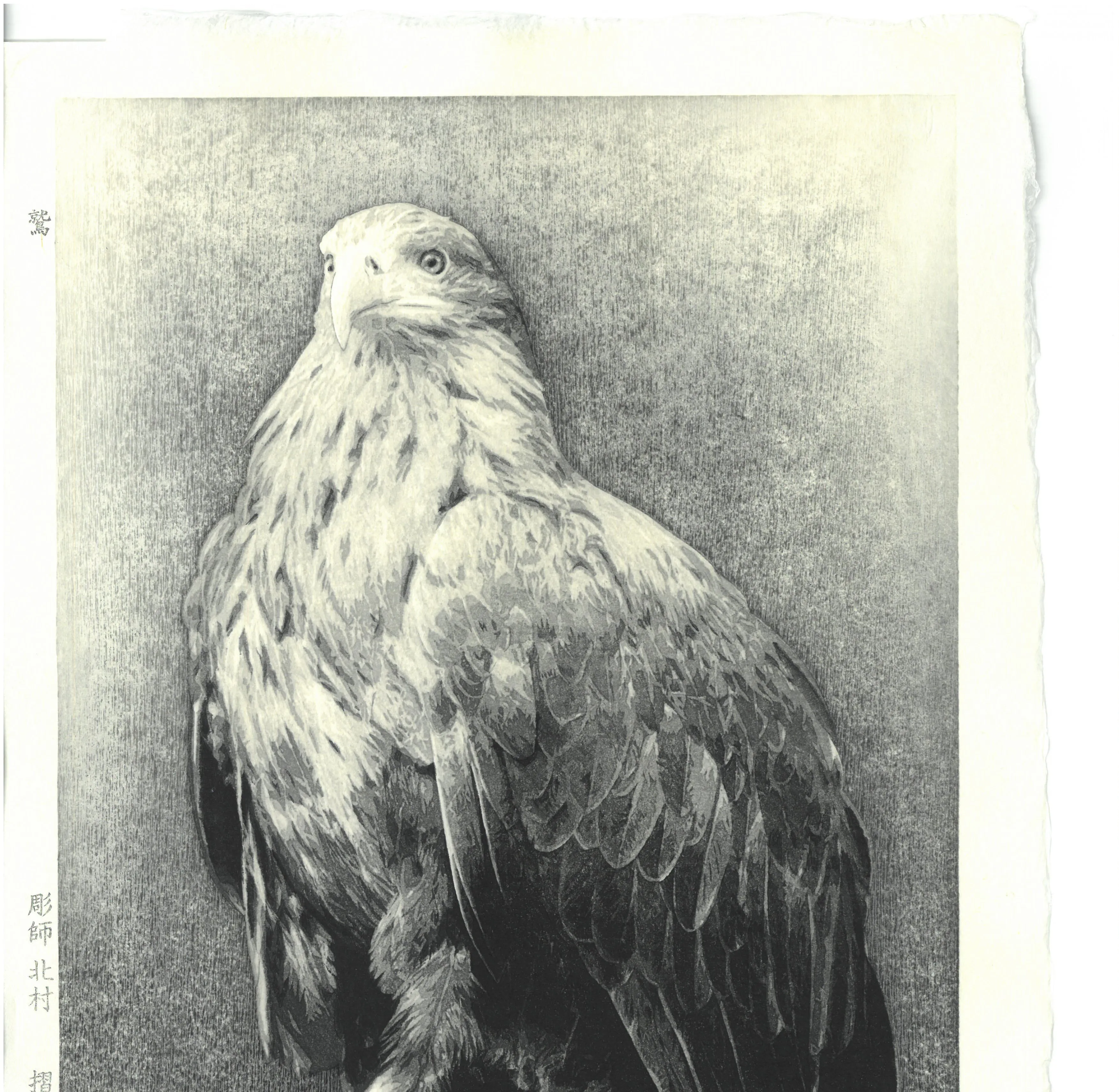 Kitamura  Shoichi - # KS3  Washi  (Eagle)  First Edition 2022 - Free Shipping