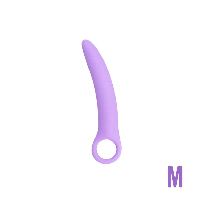 L'Anal Adventures Plug anal vibrant basique