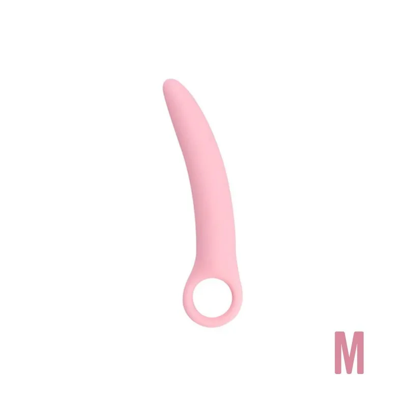 L'Anal Adventures Plug anal vibrant basique