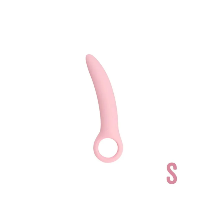 L'Anal Adventures Plug anal vibrant basique