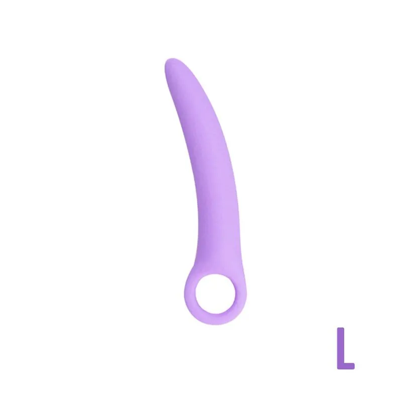L'Anal Adventures Plug anal vibrant basique