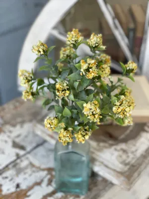 Late Bloomer Bush | 11" | Yellow