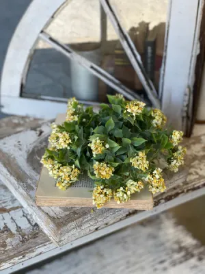 Late Bloomer Half Sphere | 10" | Yellow