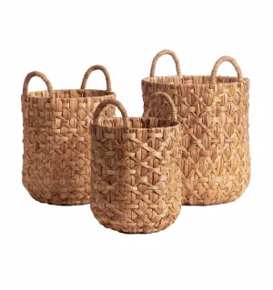 LAURIA BASKET