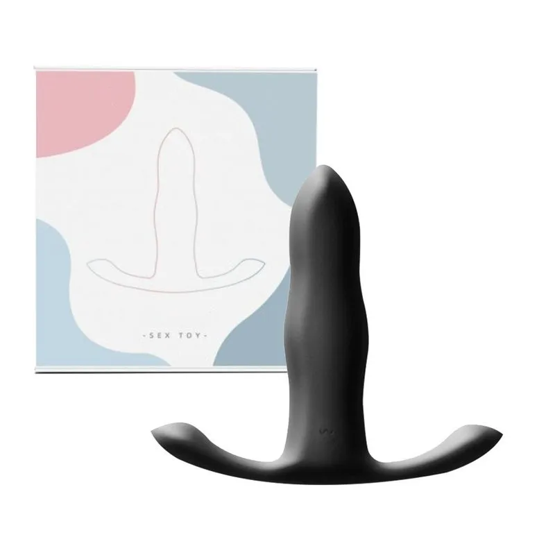 Le Plug anal vibrant Vibe Beginner