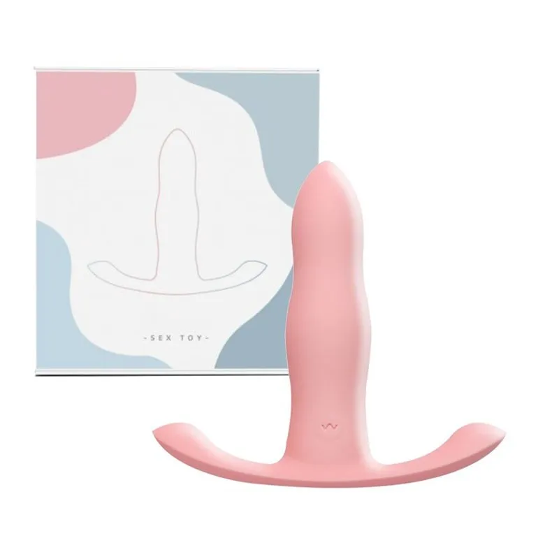 Le Plug anal vibrant Vibe Beginner