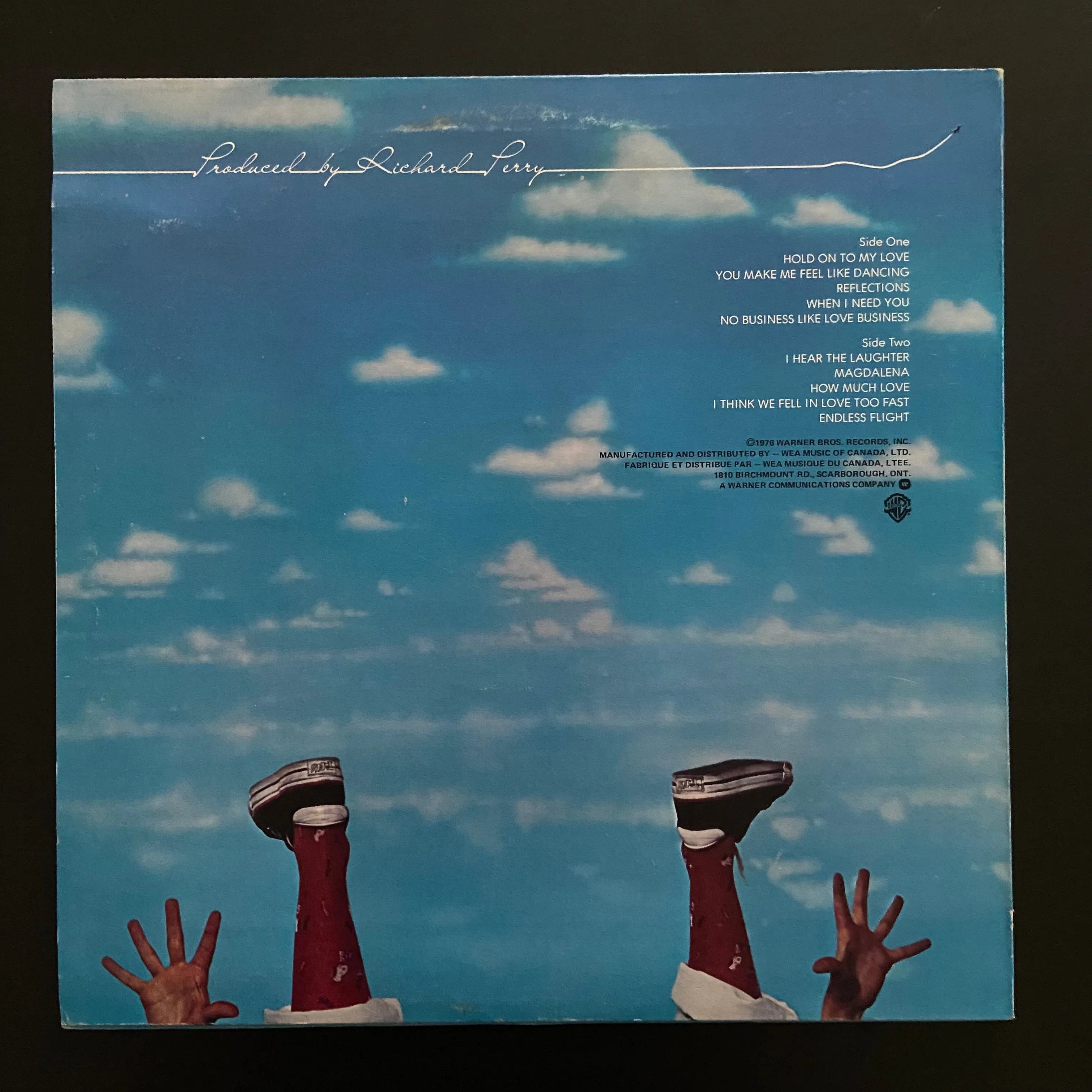 Leo Sayer: Endless Flight (LP)