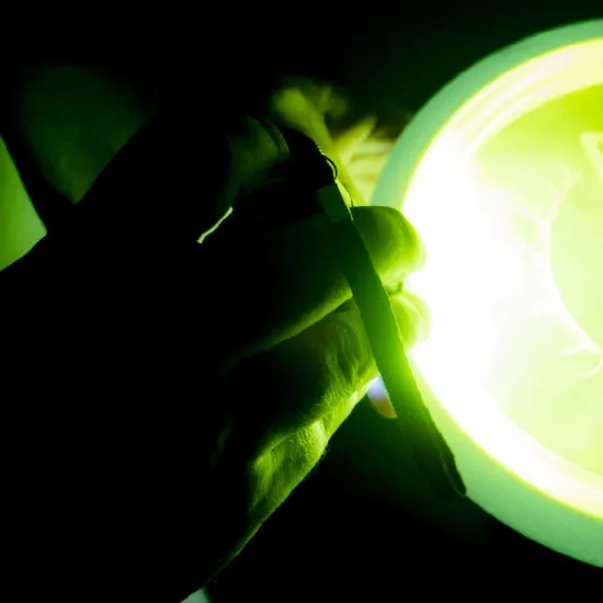 MVP Compact UV 12 LED Flashlight