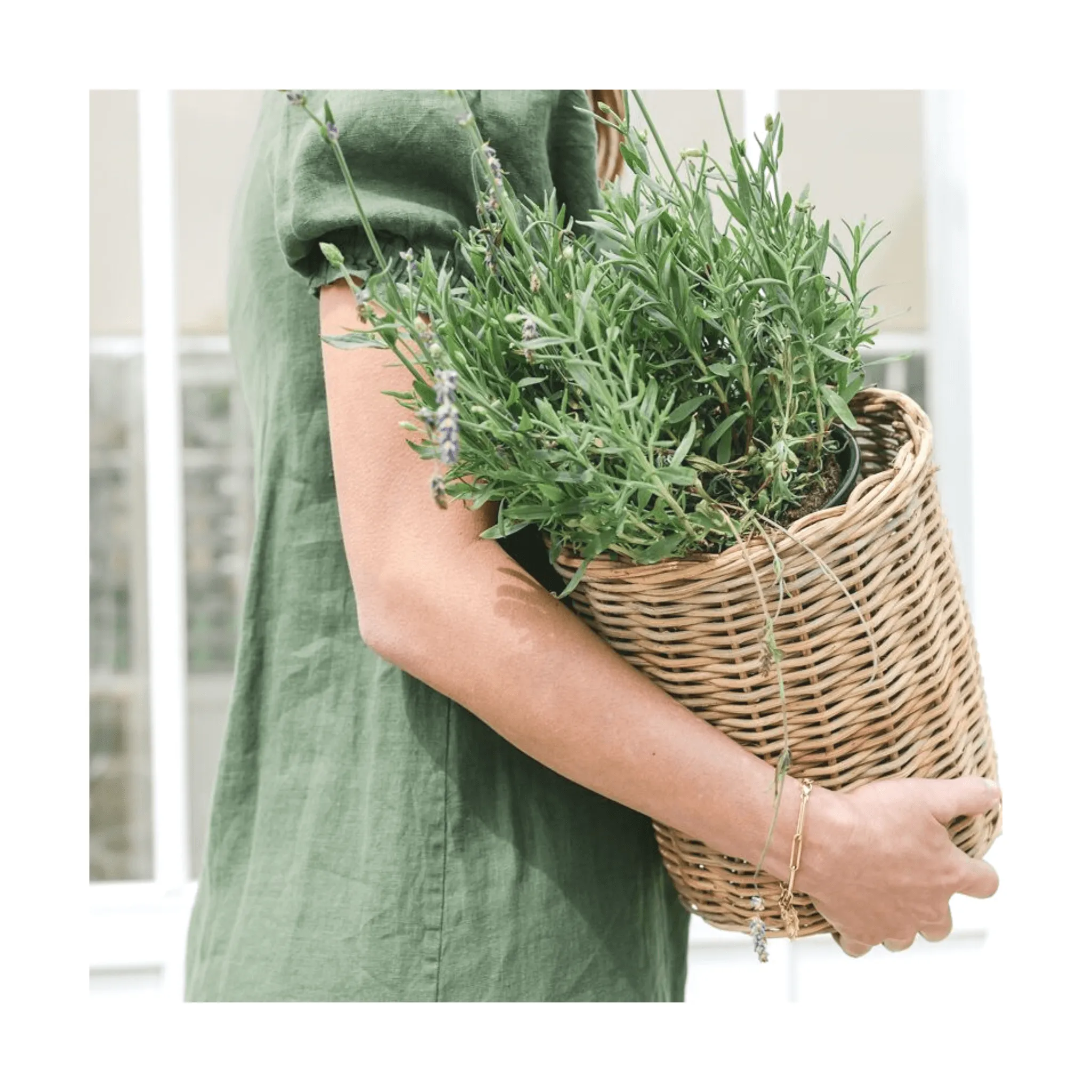 Natural Wicker Basket