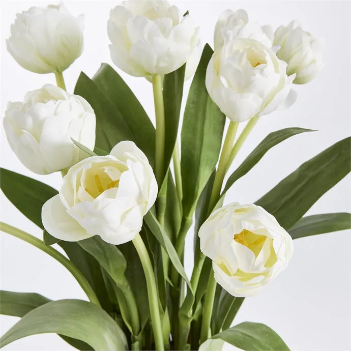 NH - Peony Tulip Drop-In | 19"