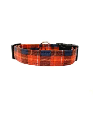 Oscar Dog Collar