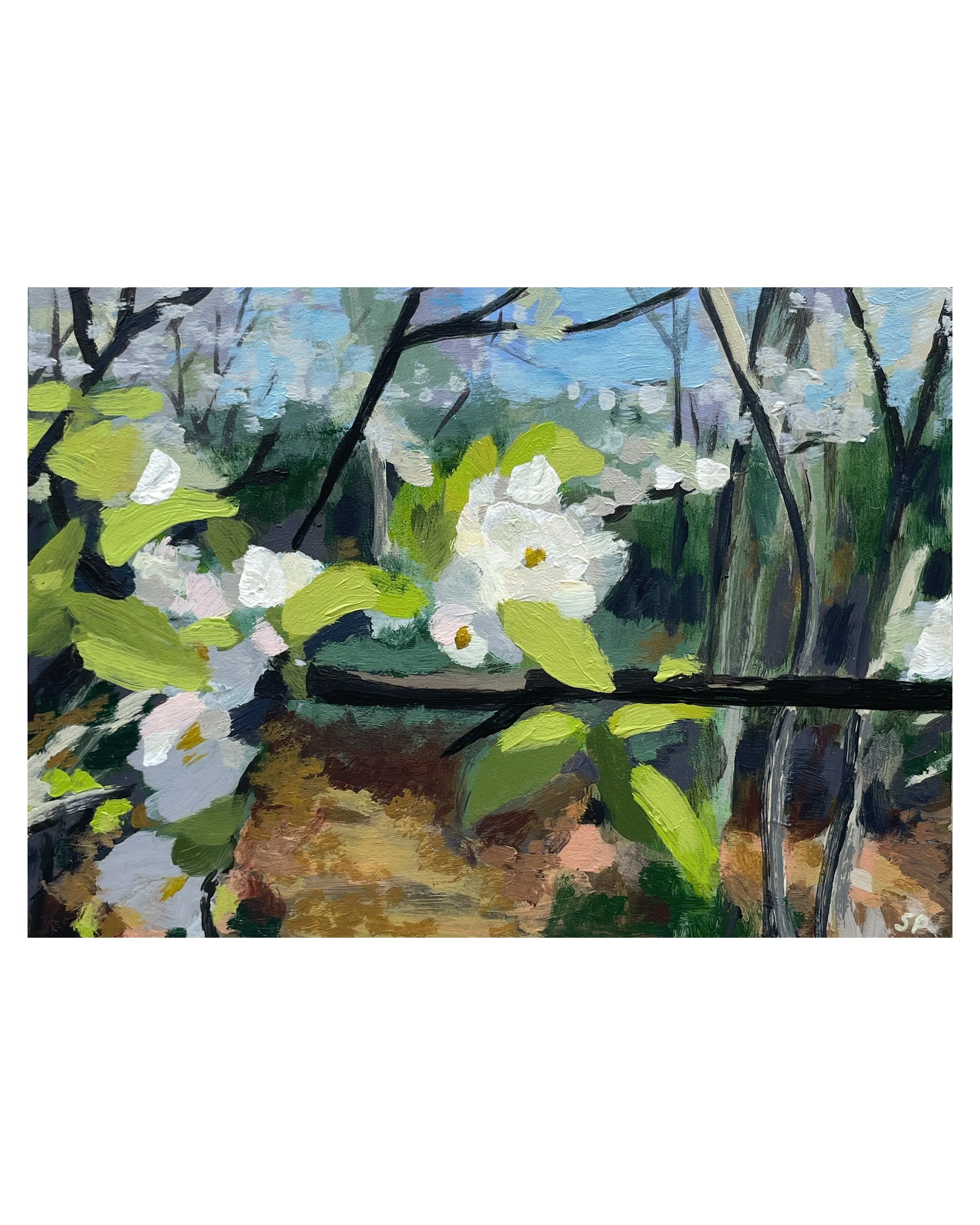 Pear Blossom
