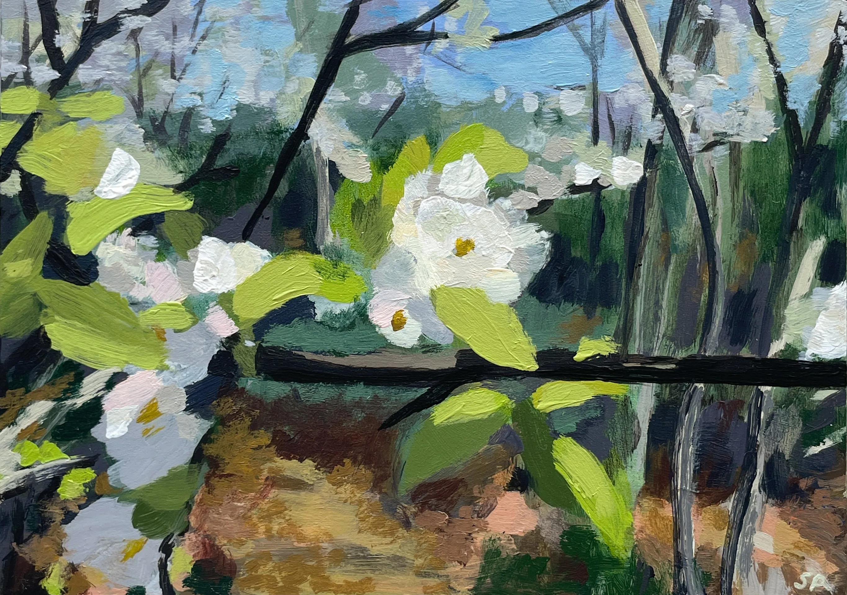 Pear Blossom