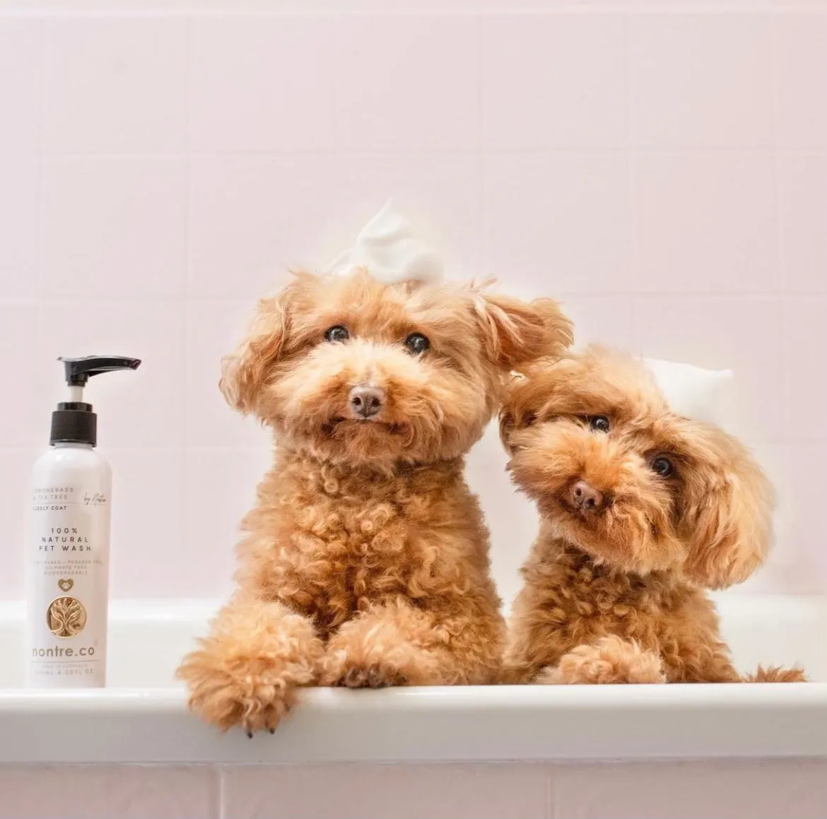 Pet Wash 120mL
