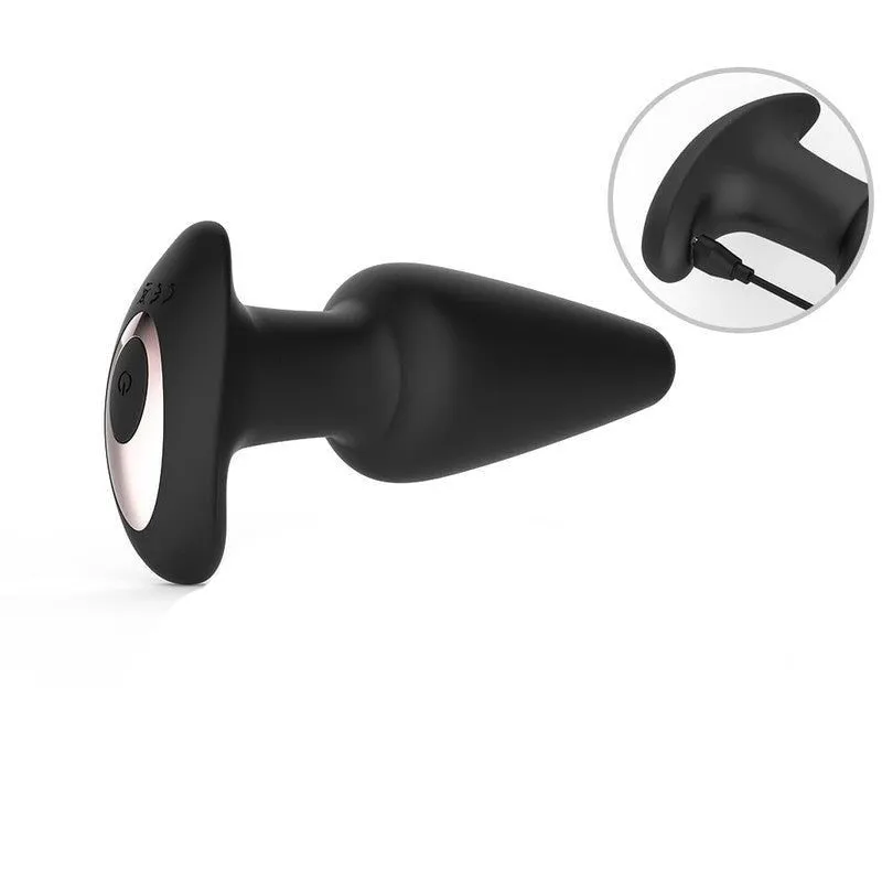 Plug anal ancre vibrant