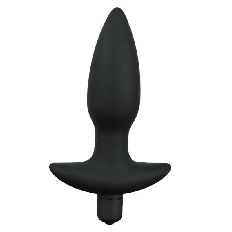 Plug Anal Vibrant the plug ancre