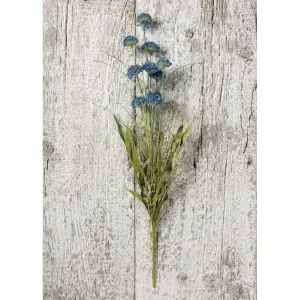 Pom Mix Blue Pick