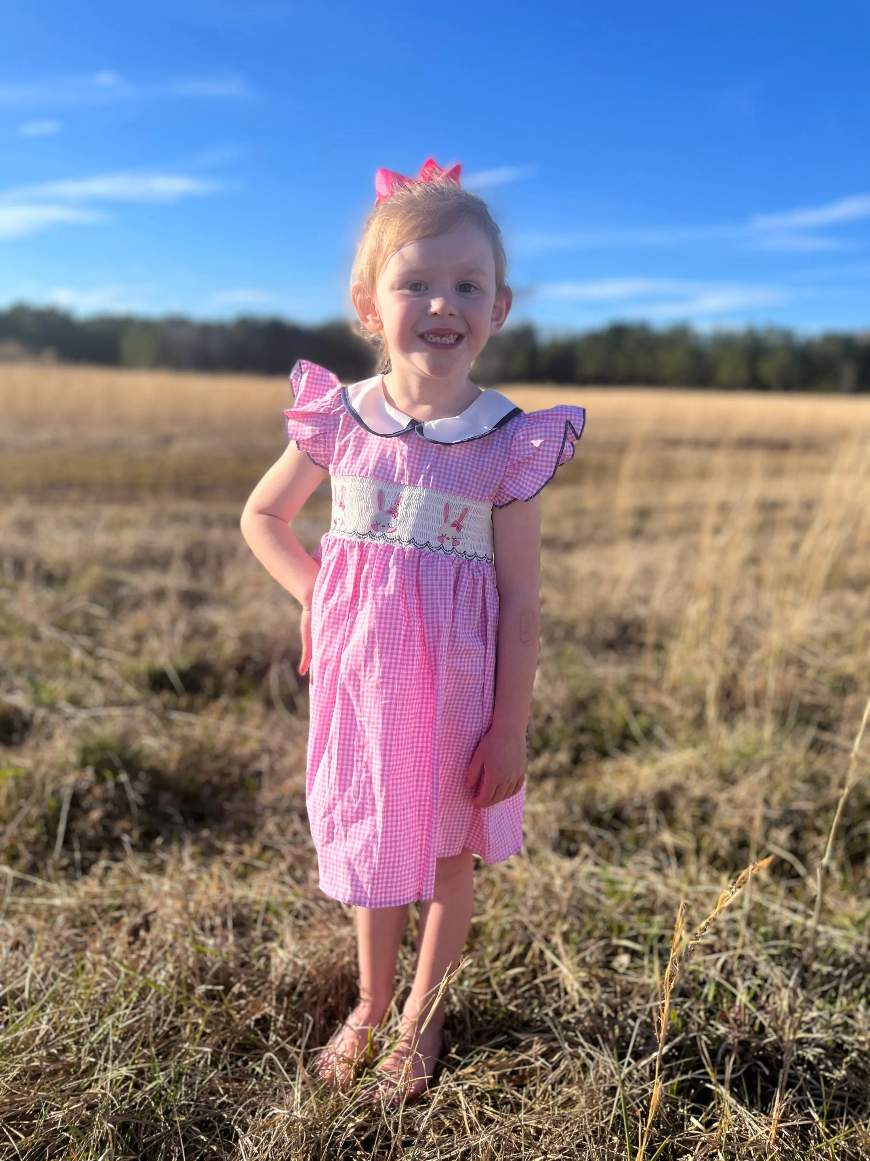 RABBIT EMBROIDERY DRESS