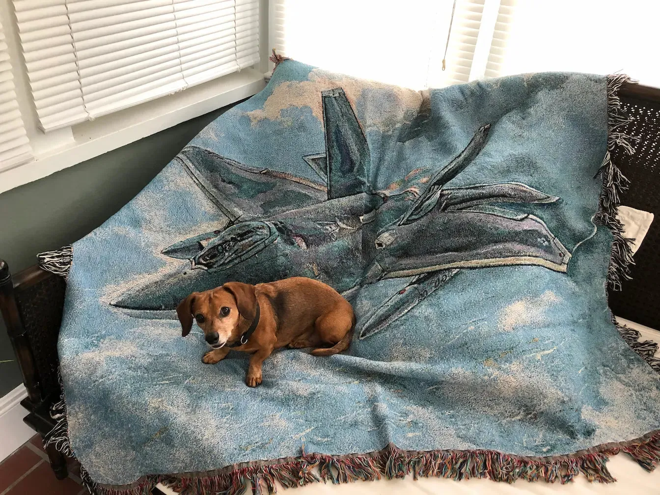 Raptor F-22 Painting Woven Blanket Throw