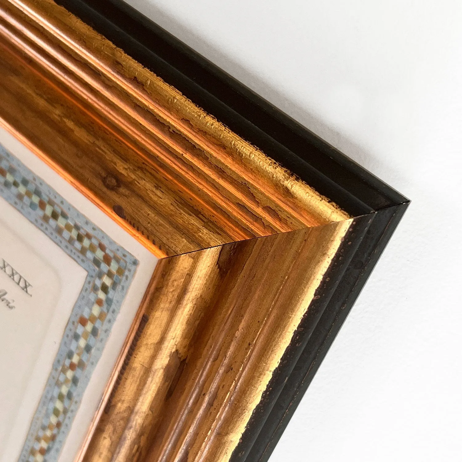 Reprotique ORNITHOLOGIA Prints - Framed