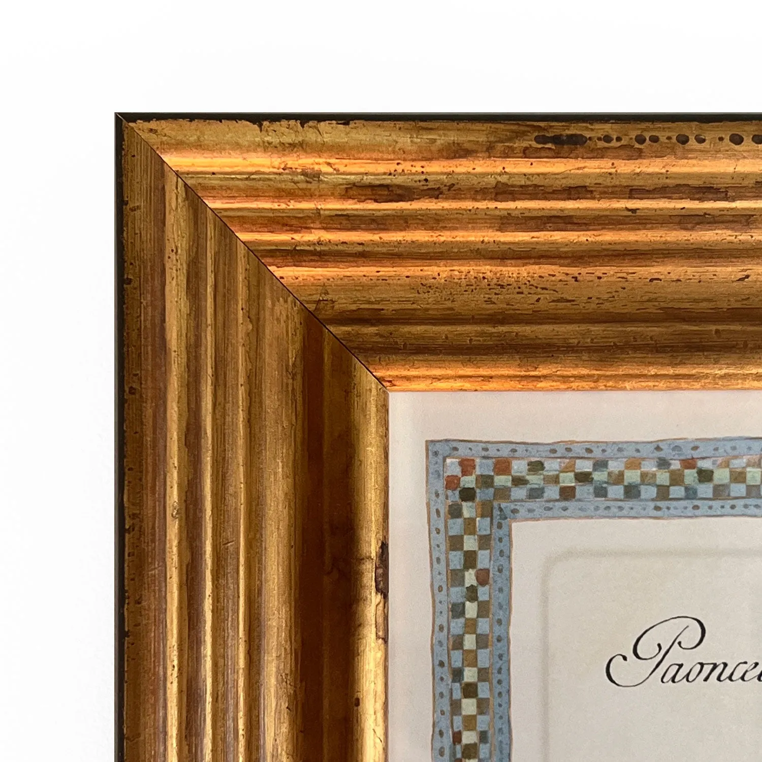 Reprotique ORNITHOLOGIA Prints - Framed