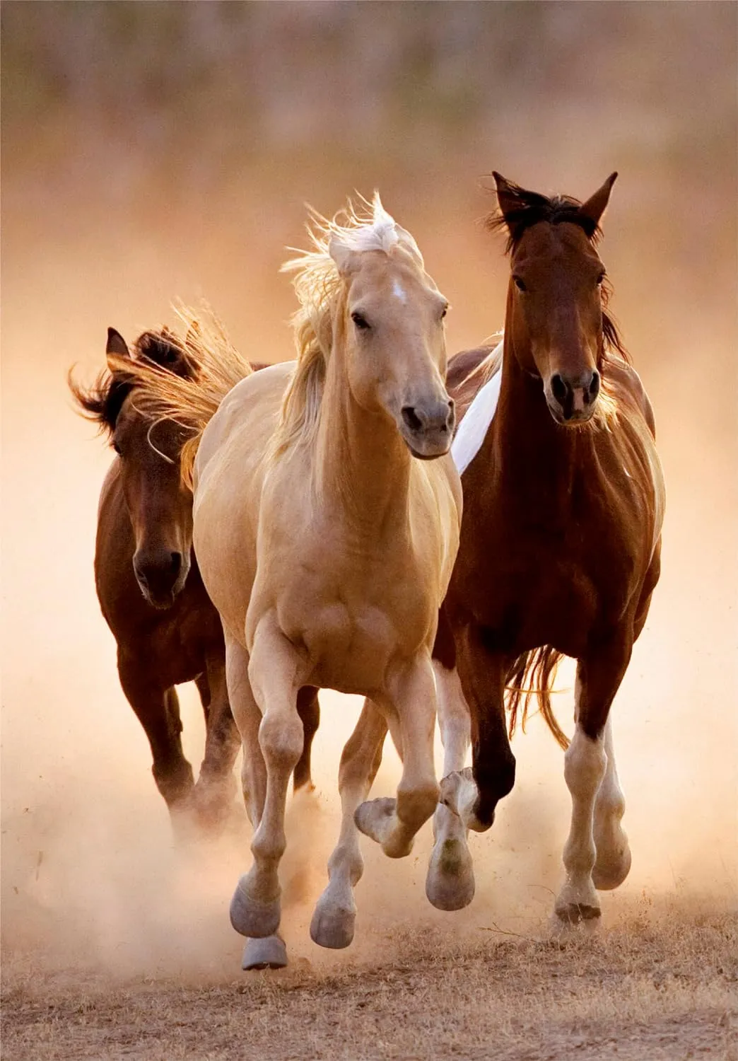 Running Horses 1000pc Compact Puzzle