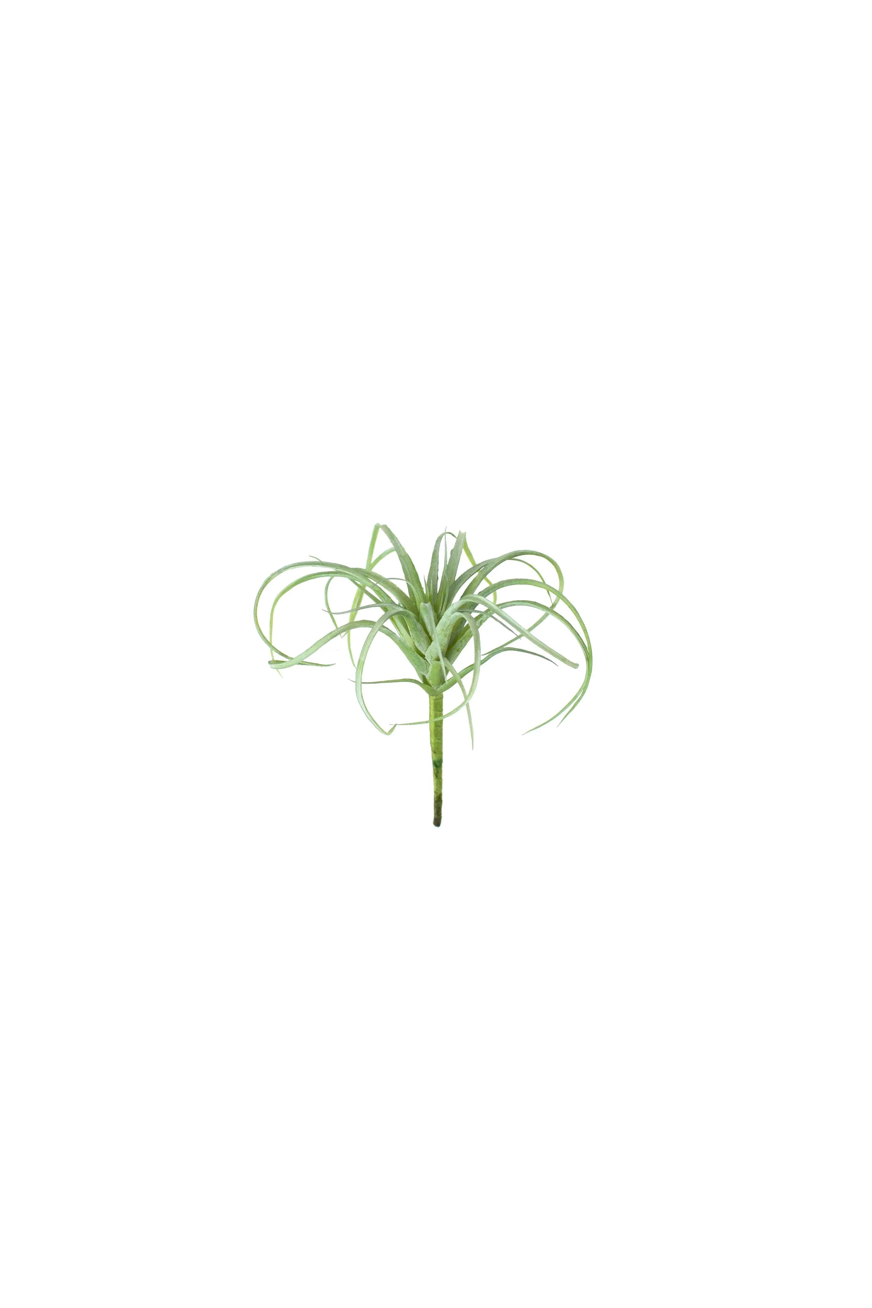 Small Artificial Air Plant (Pack of 6)