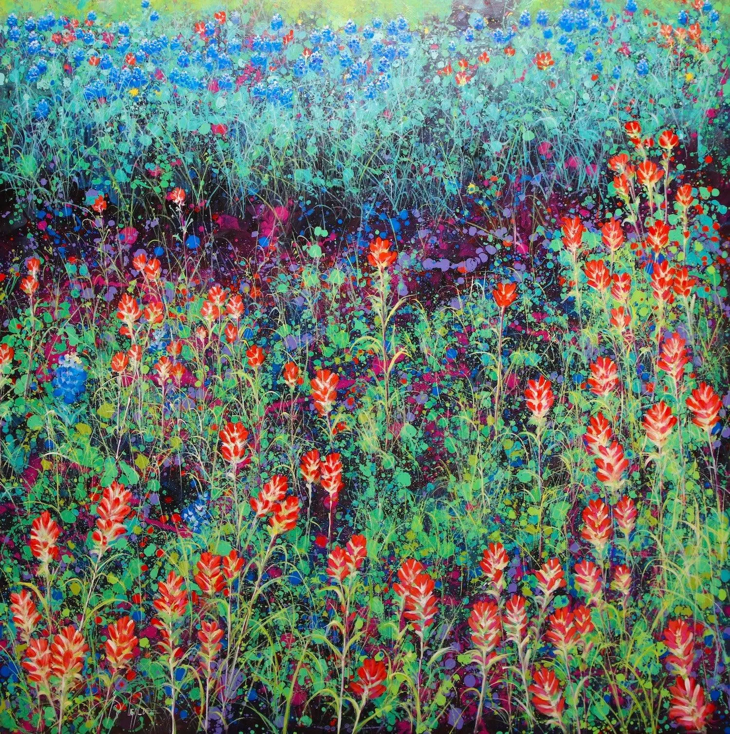 Texas Indian Paintbrush