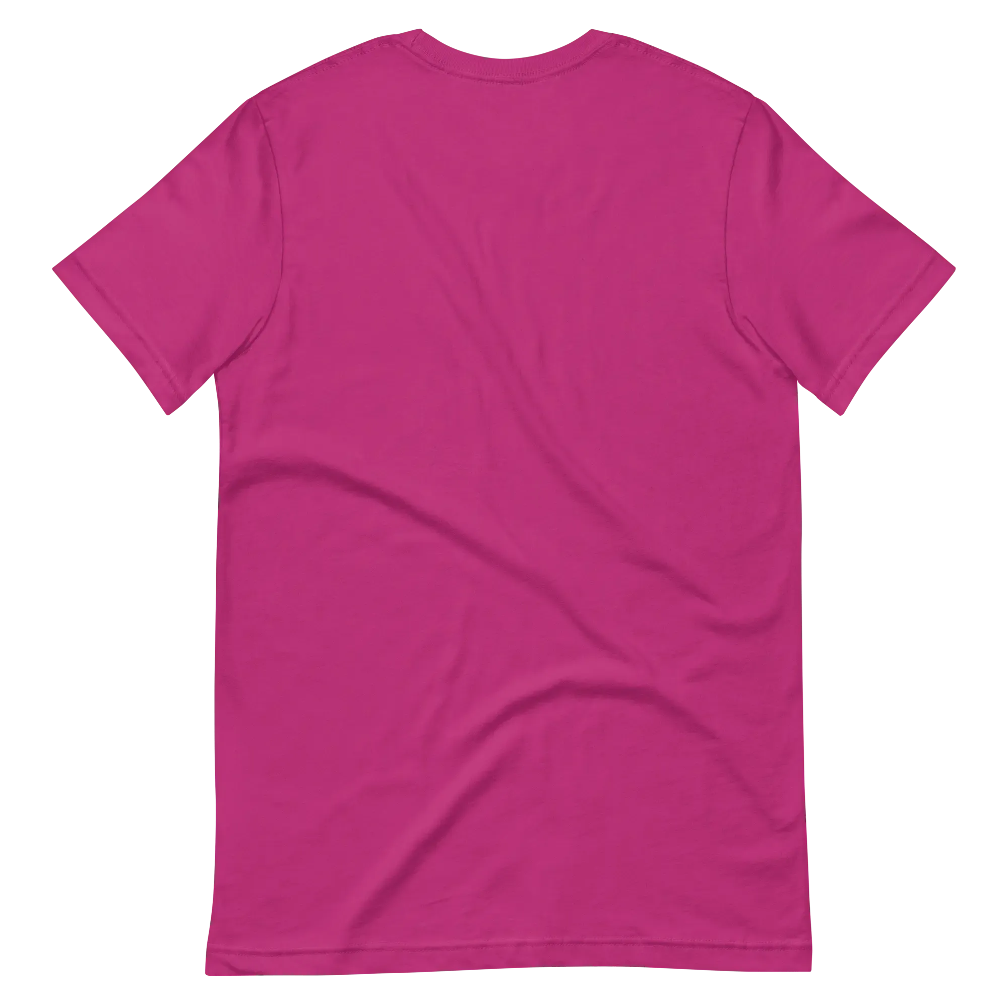 Unisex t-shirt_Bright Winter