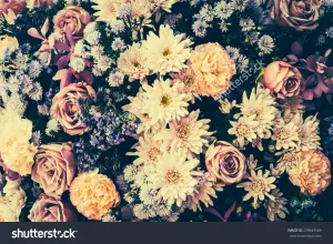 Vintage Old Flower  Backdrop