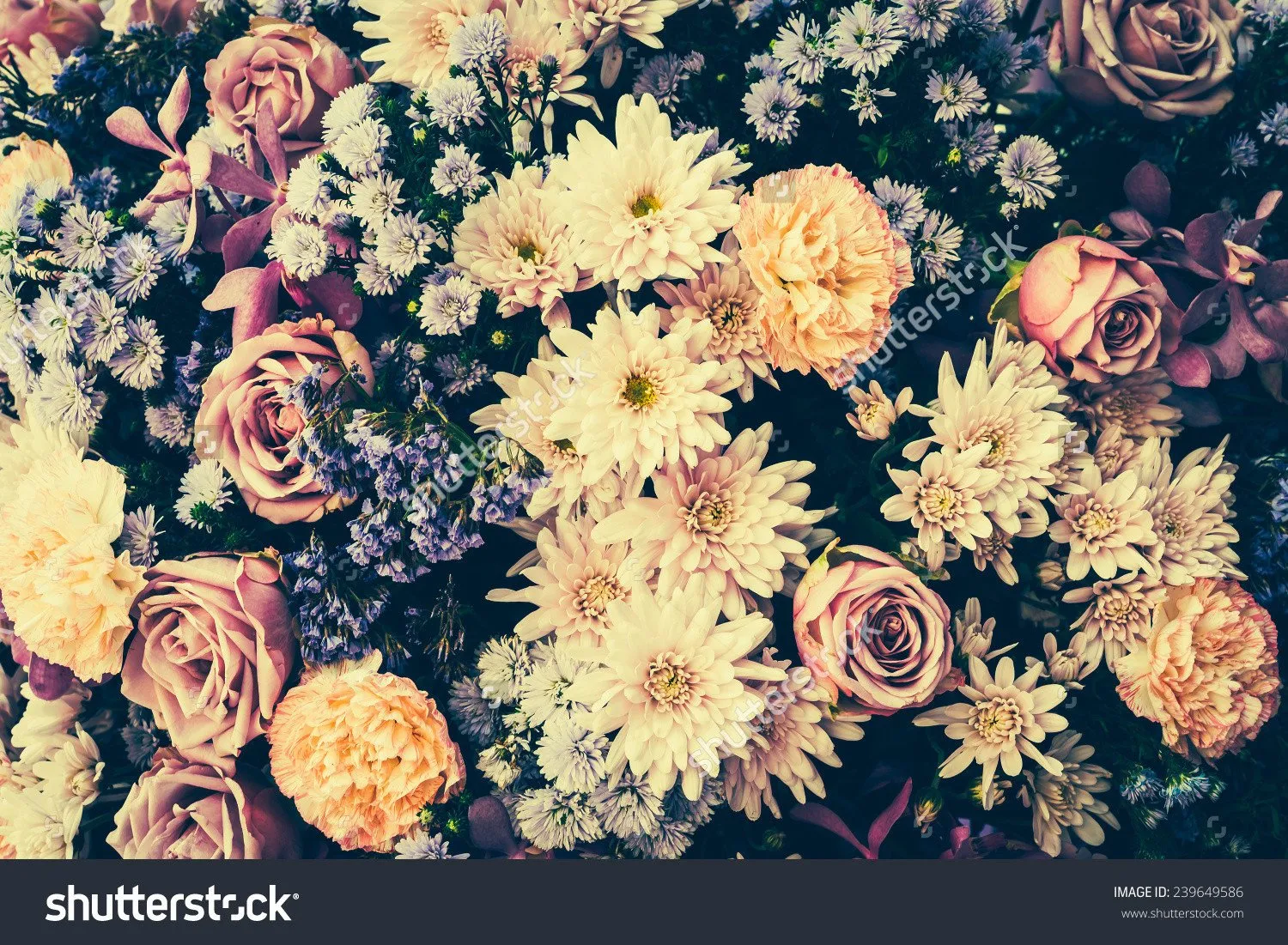 Vintage Old Flower  Backdrop
