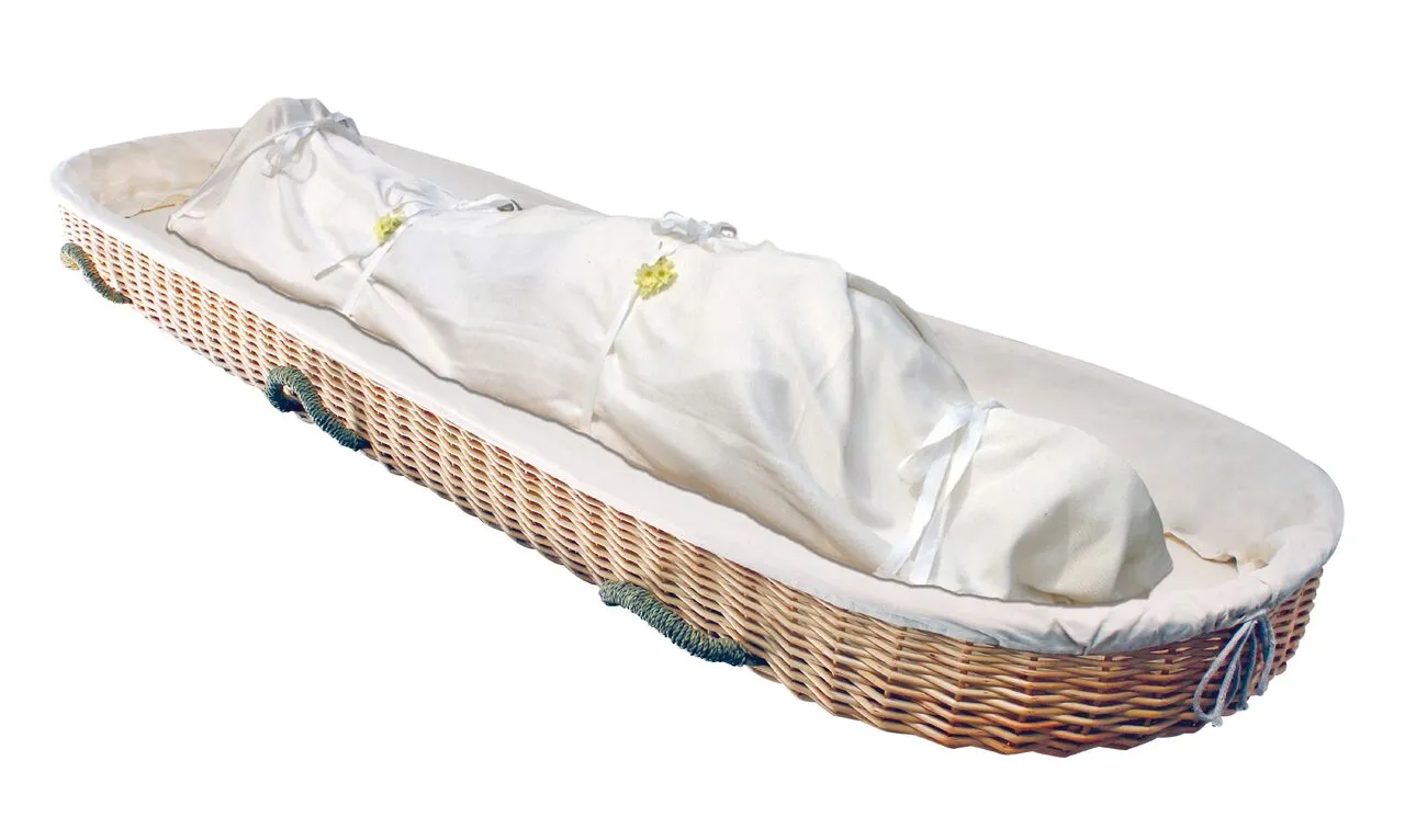 Willow Carriers