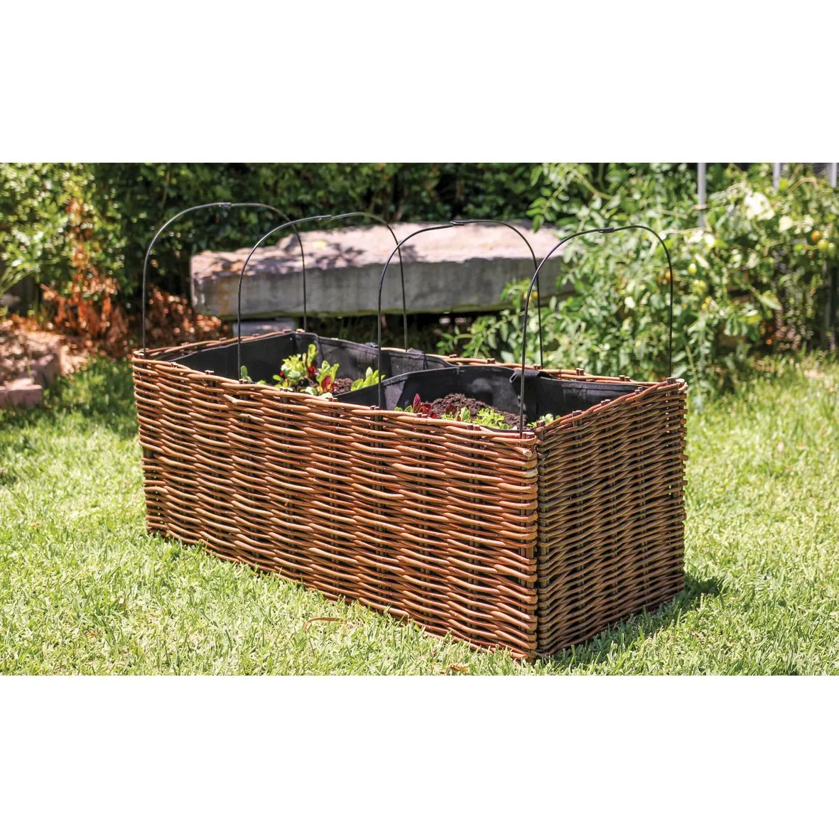 Willow Planter with Liner