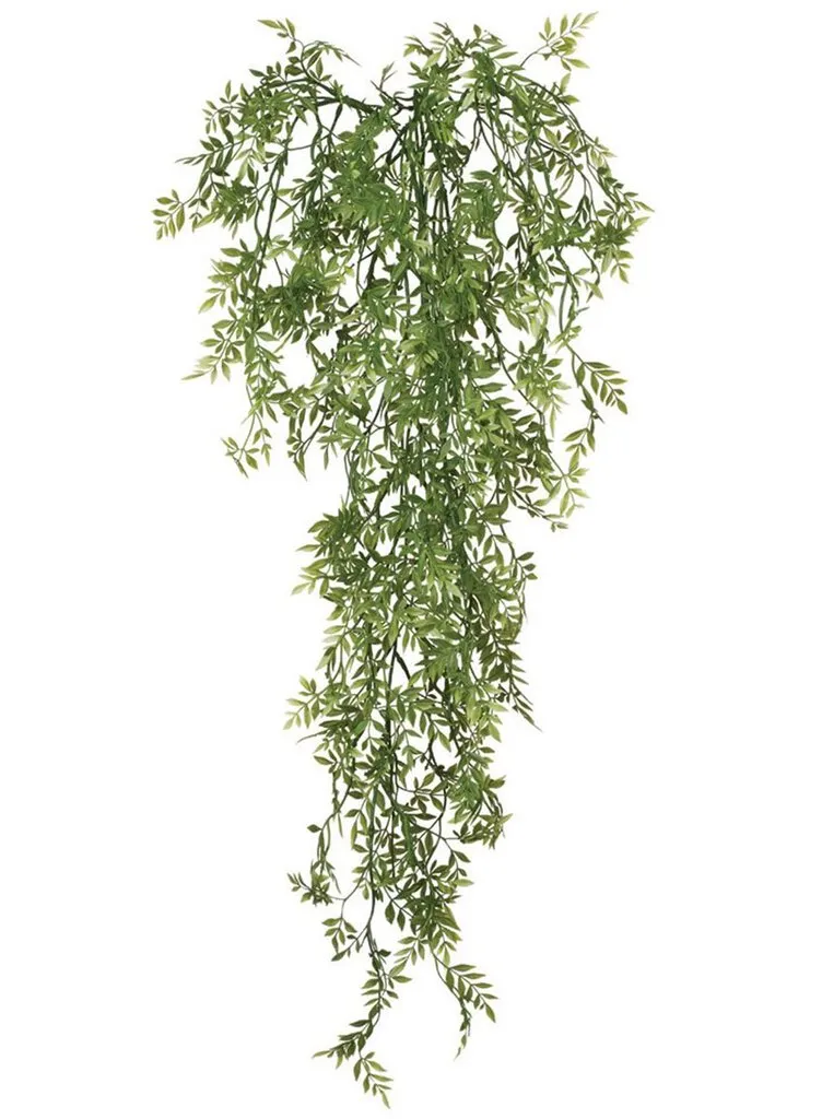 Wisteria Mini Vine
